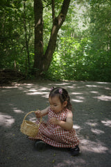 The Picnic Dress