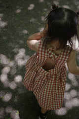 The Picnic Dress