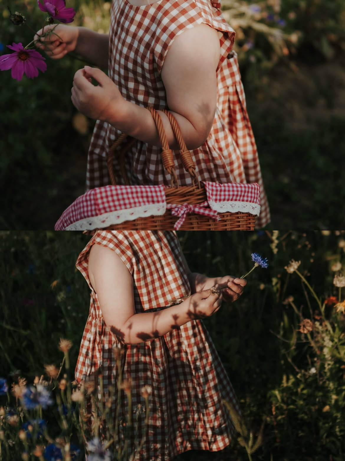 The Picnic Dress