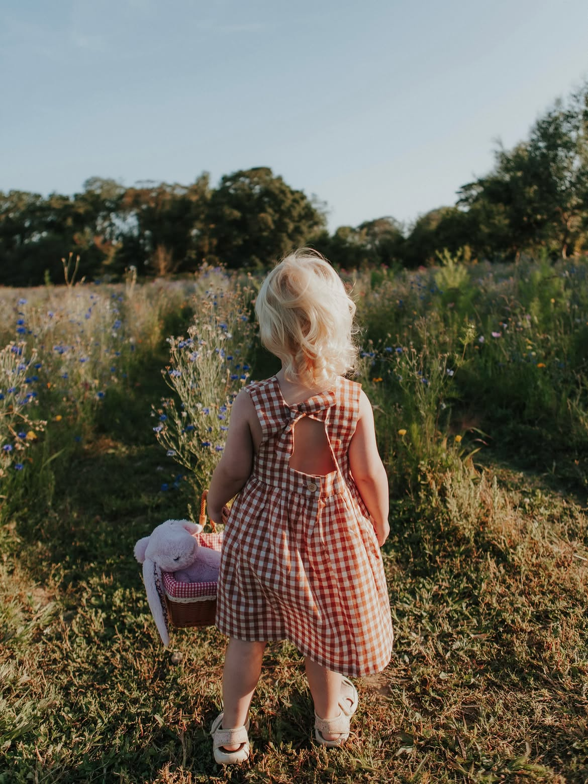 The Picnic Dress