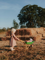 The Picnic Dress