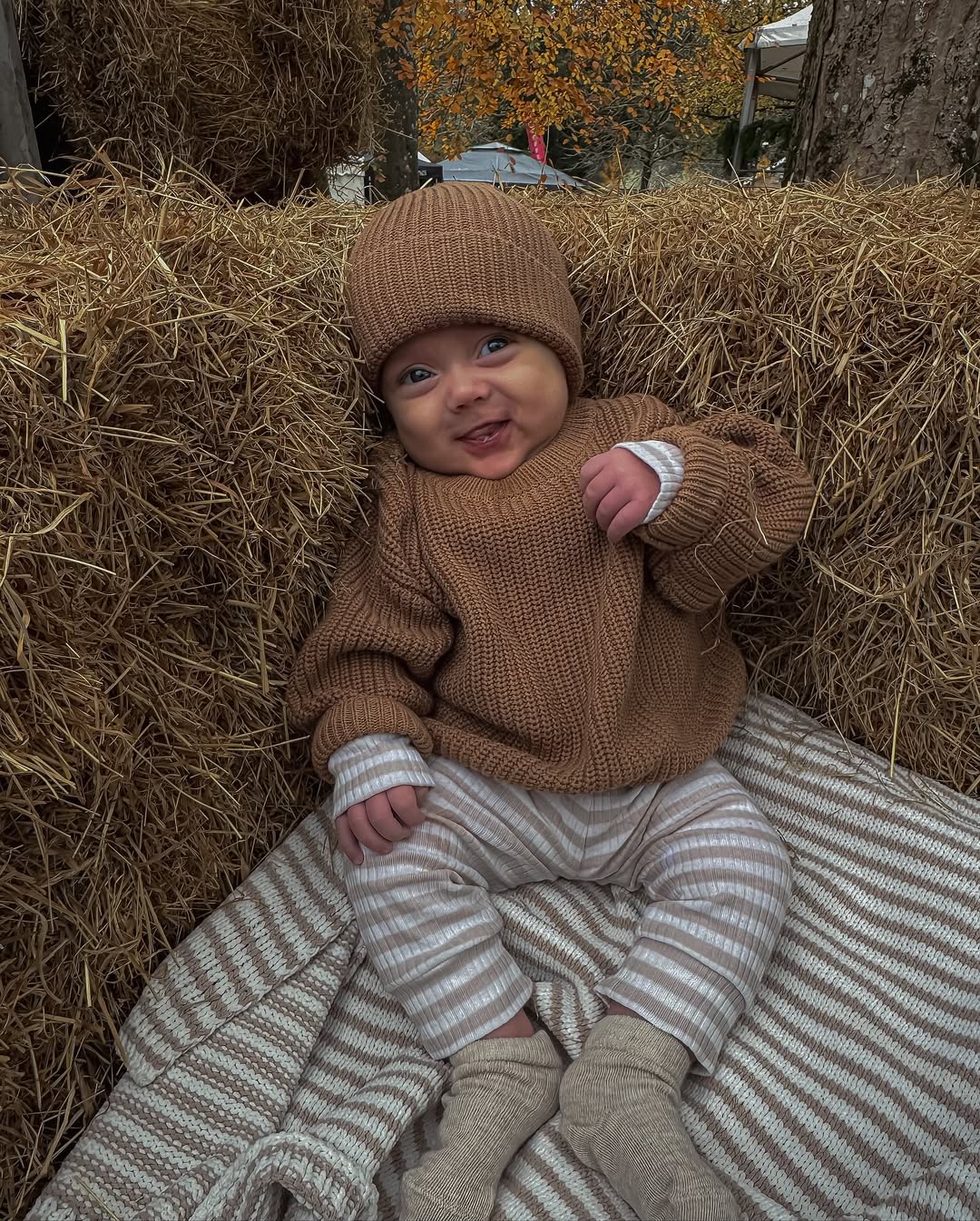 The Walnut Knit Set